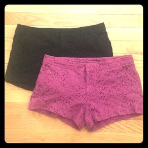 Nicole by Nicole Miller fuchsia lace shorts